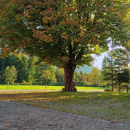 Naturhaus Leger * Lenggries
