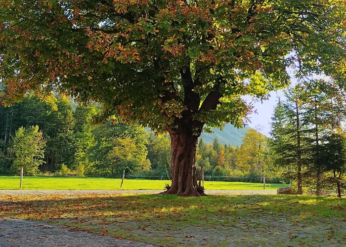 Naturhaus Leger * Lenggries